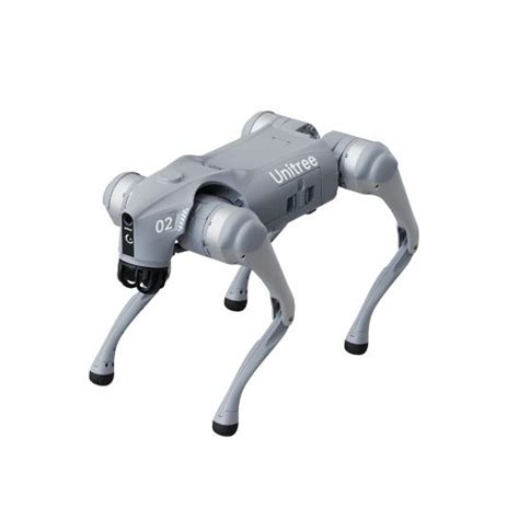 robot dog|Robot Dog Go2.